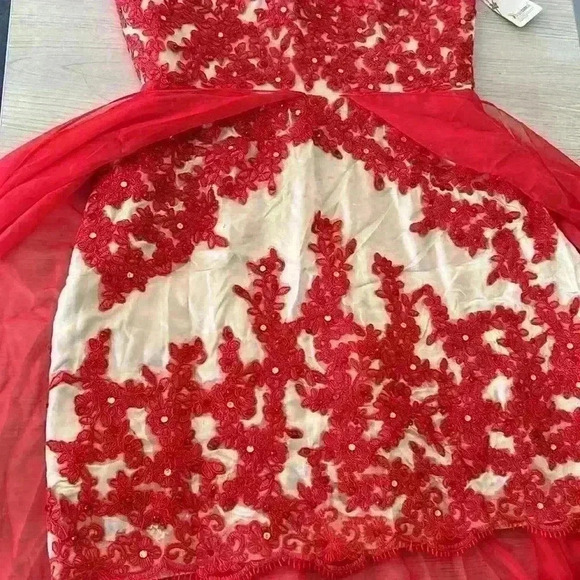 Red and Cream Floral Lace Halter Neck Evening Gown Prom Dress - Picture 8 of 17